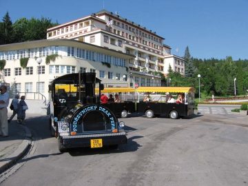 Lázeňské domy – Fotogalerie hotelu Palace****