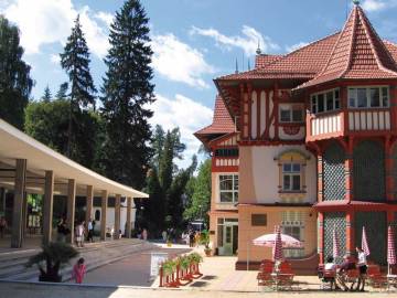 phoca_thumb_l_jurkovicuv_dum_029